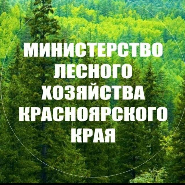 Об изменении подходов в установлении сроков заключения договоров купли-продажи лесных насаждений с населением.